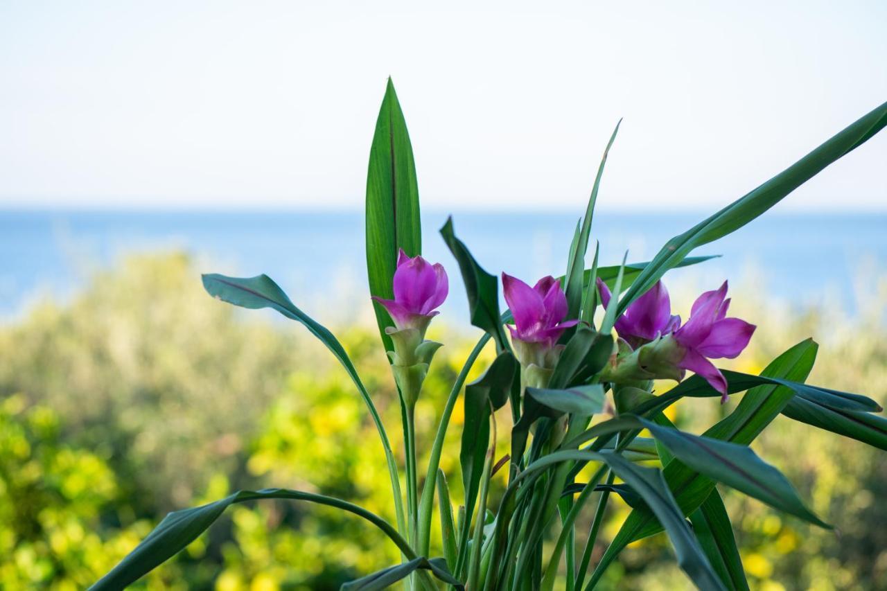 Sosos 2 Bedroom House With Sea View Plános 外观 照片